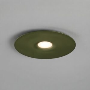 Dish LED Ceiling Light in Olive Green
