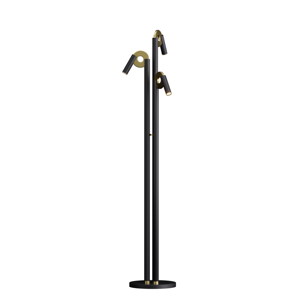 Paris Floor Lamp in Super Matt Black and Satin Brass