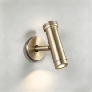 Salt LED Reading Light In Champagne